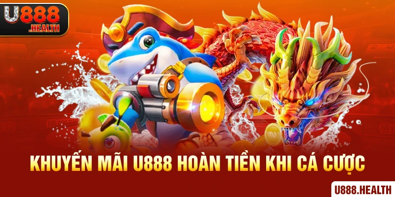 Khuyến mãi U888 hoàn tiền khi cá cược