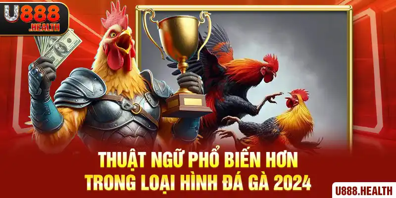 Thuật ngữ phổ biến hơn trong loại hình đá gà 2024